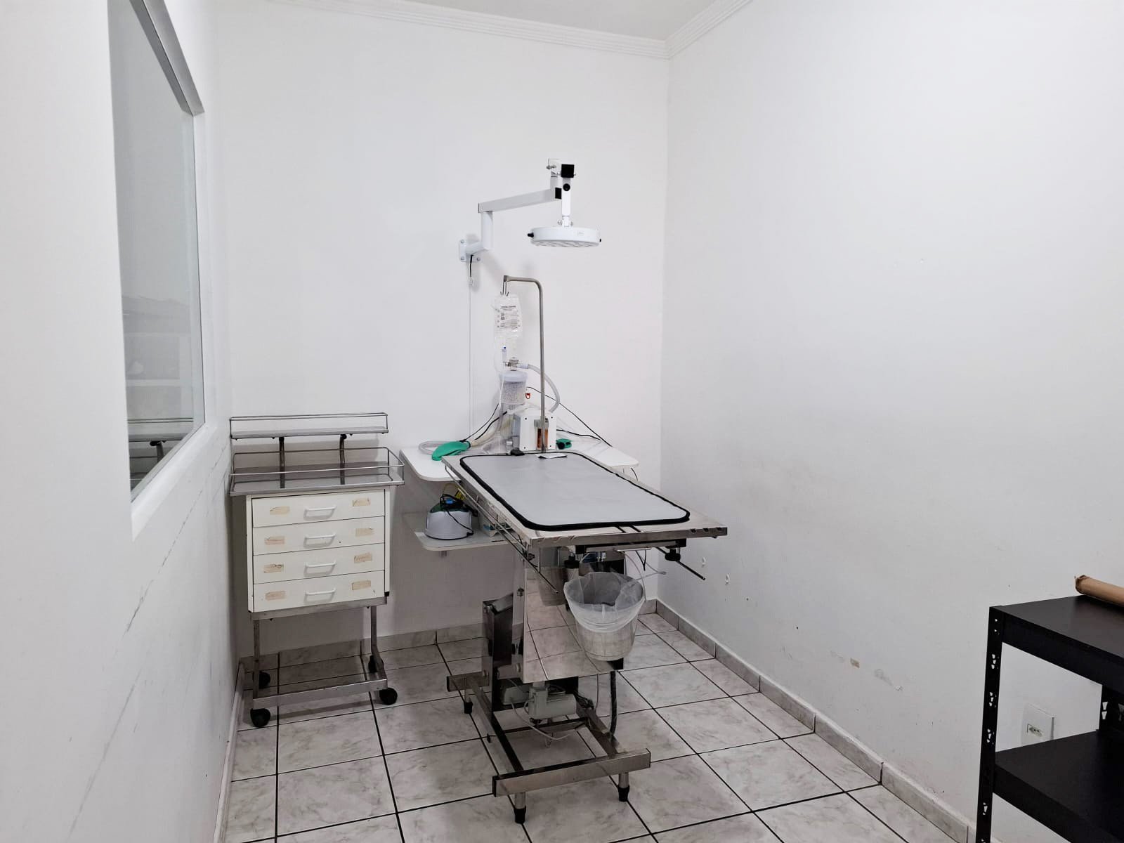 cirurgia veterinária em jundiaí